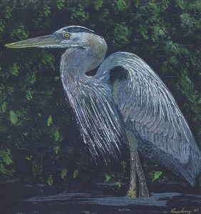 Blue heron