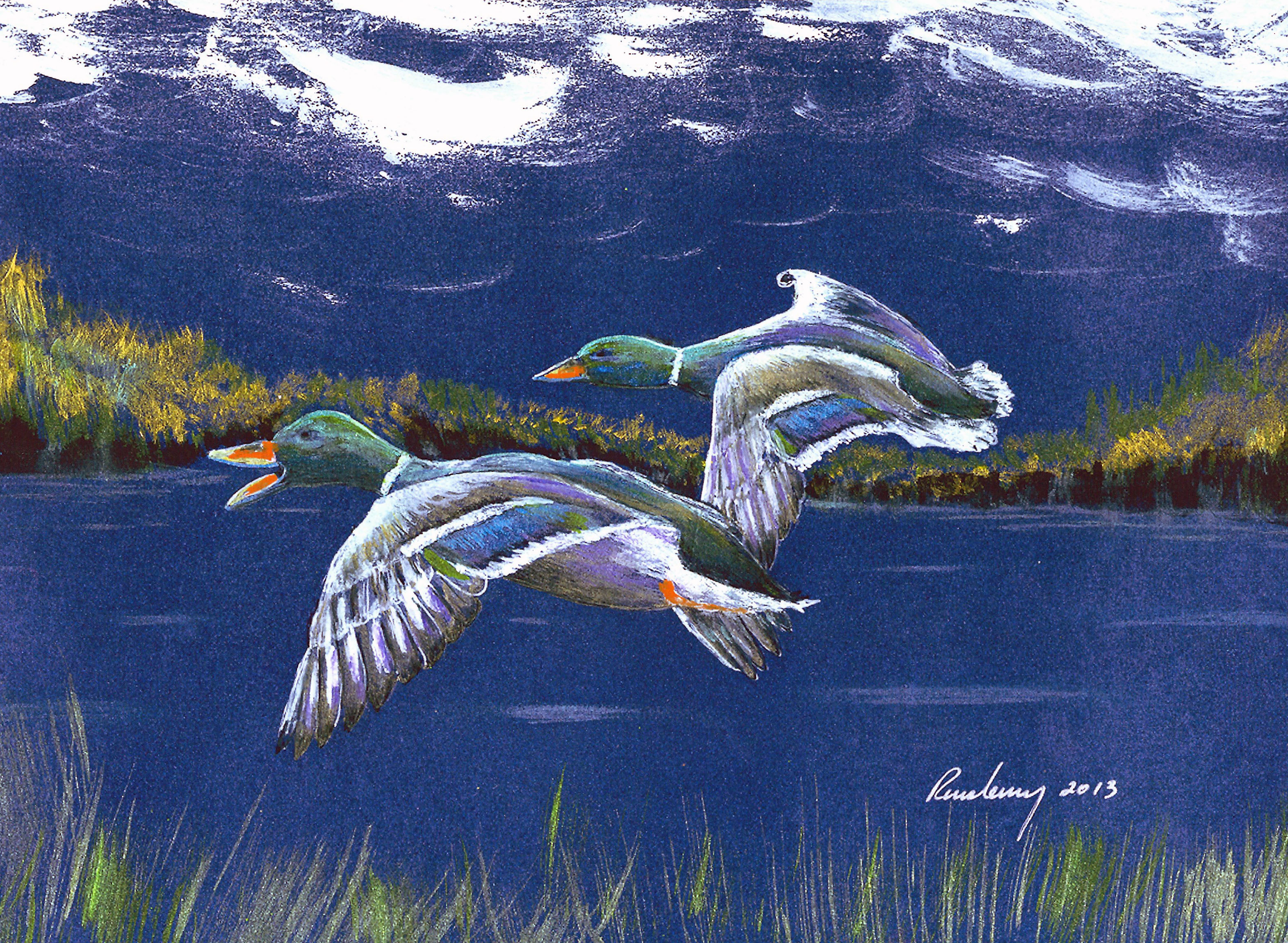 Mallards