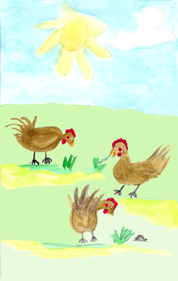 Page 6 Chickens